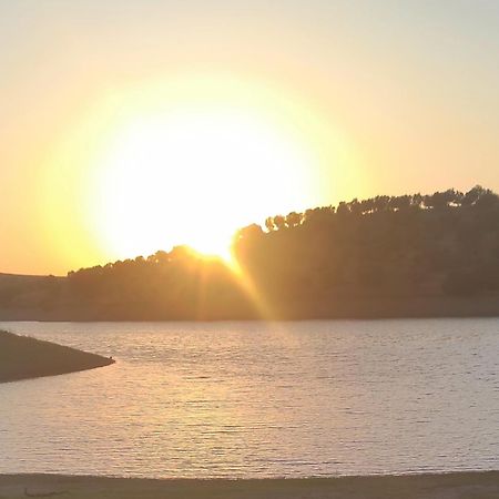 Nova Quinta Moderna Torramo Em Oliveiras, Campo De Laranjas, Na Nacional 2, Alentejo 13750 M2 Villa Torrão Kültér fotó
