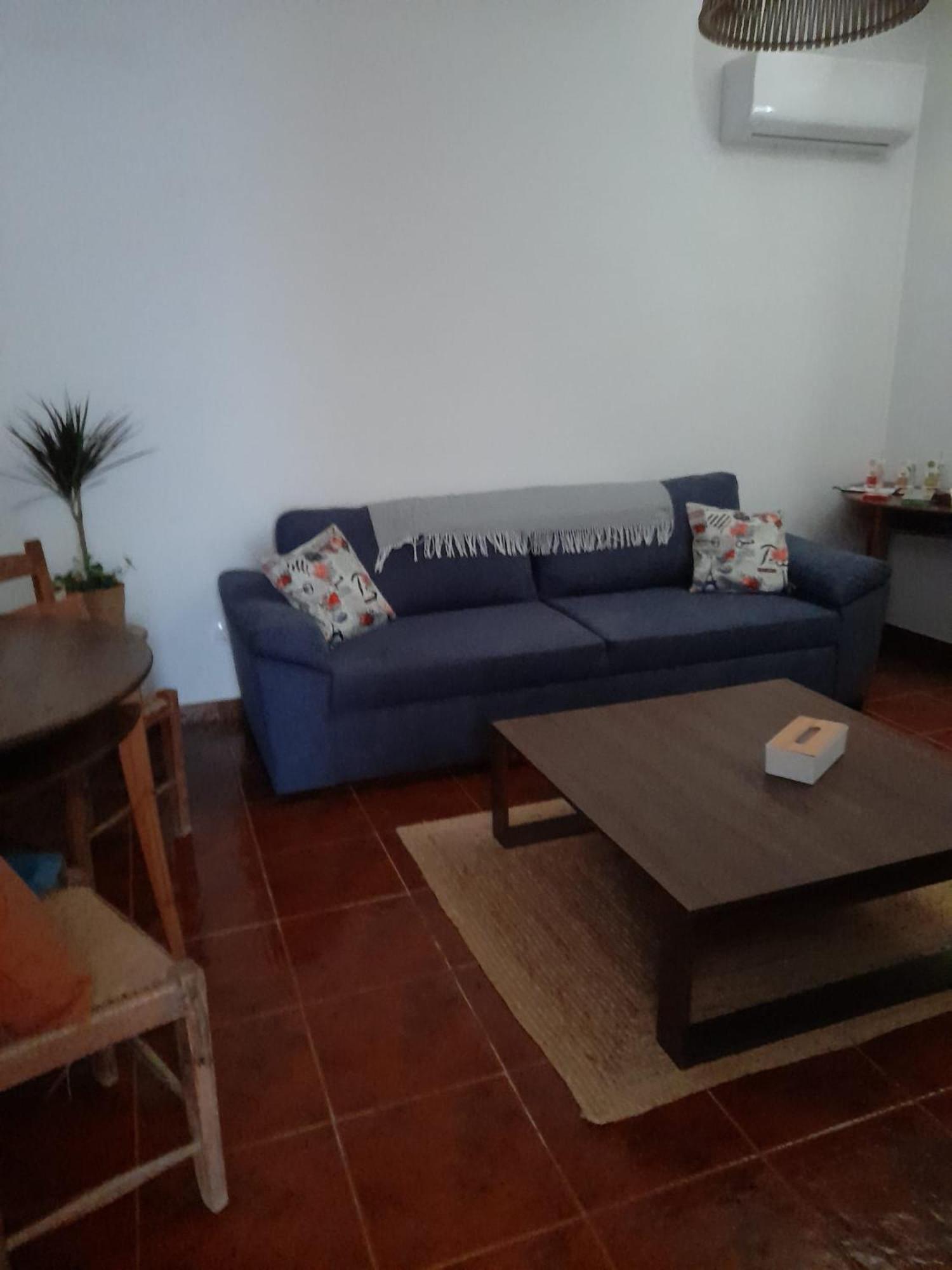 Nova Quinta Moderna Torramo Em Oliveiras, Campo De Laranjas, Na Nacional 2, Alentejo 13750 M2 Villa Torrão Kültér fotó