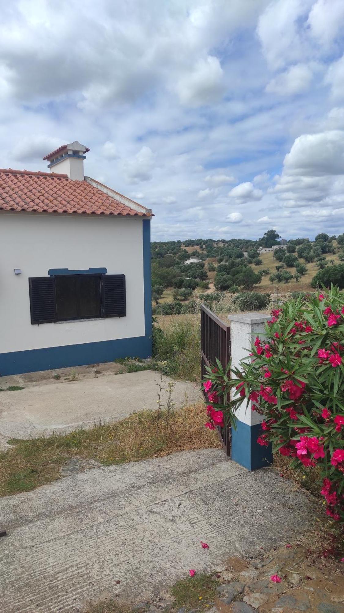 Nova Quinta Moderna Torramo Em Oliveiras, Campo De Laranjas, Na Nacional 2, Alentejo 13750 M2 Villa Torrão Kültér fotó