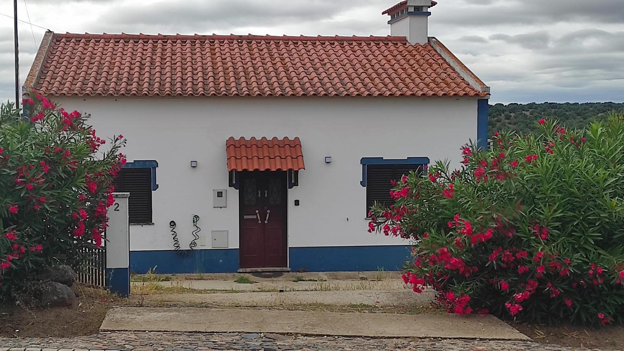 Nova Quinta Moderna Torramo Em Oliveiras, Campo De Laranjas, Na Nacional 2, Alentejo 13750 M2 Villa Torrão Kültér fotó